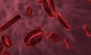 Células rojas de la sangre